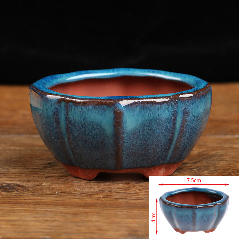 Echeveria Succulent - 1 buah Pot bunga keramik Mini