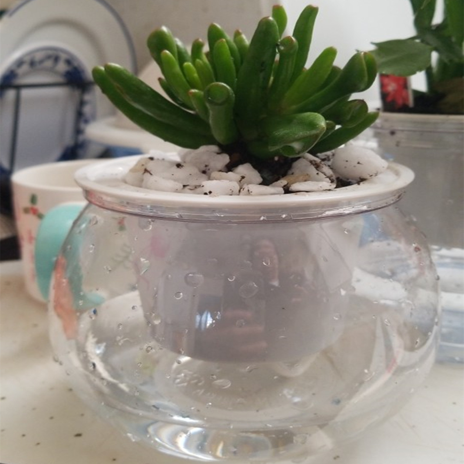 Aloe Vera Pot - Pot Tanaman Penyiraman Diri Pot Bunga