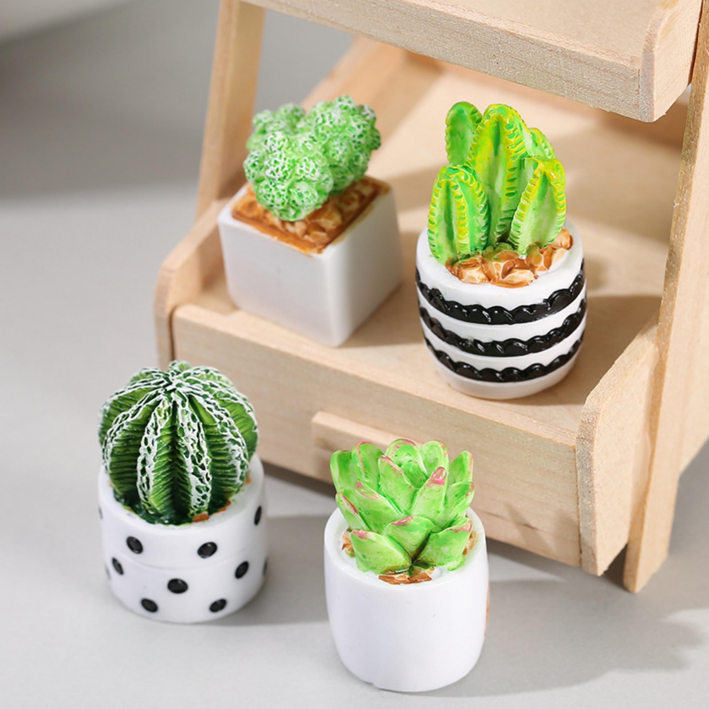 Echeveria Succulent - Set 4-Potong Tanaman Sukulen Kaktus dalam