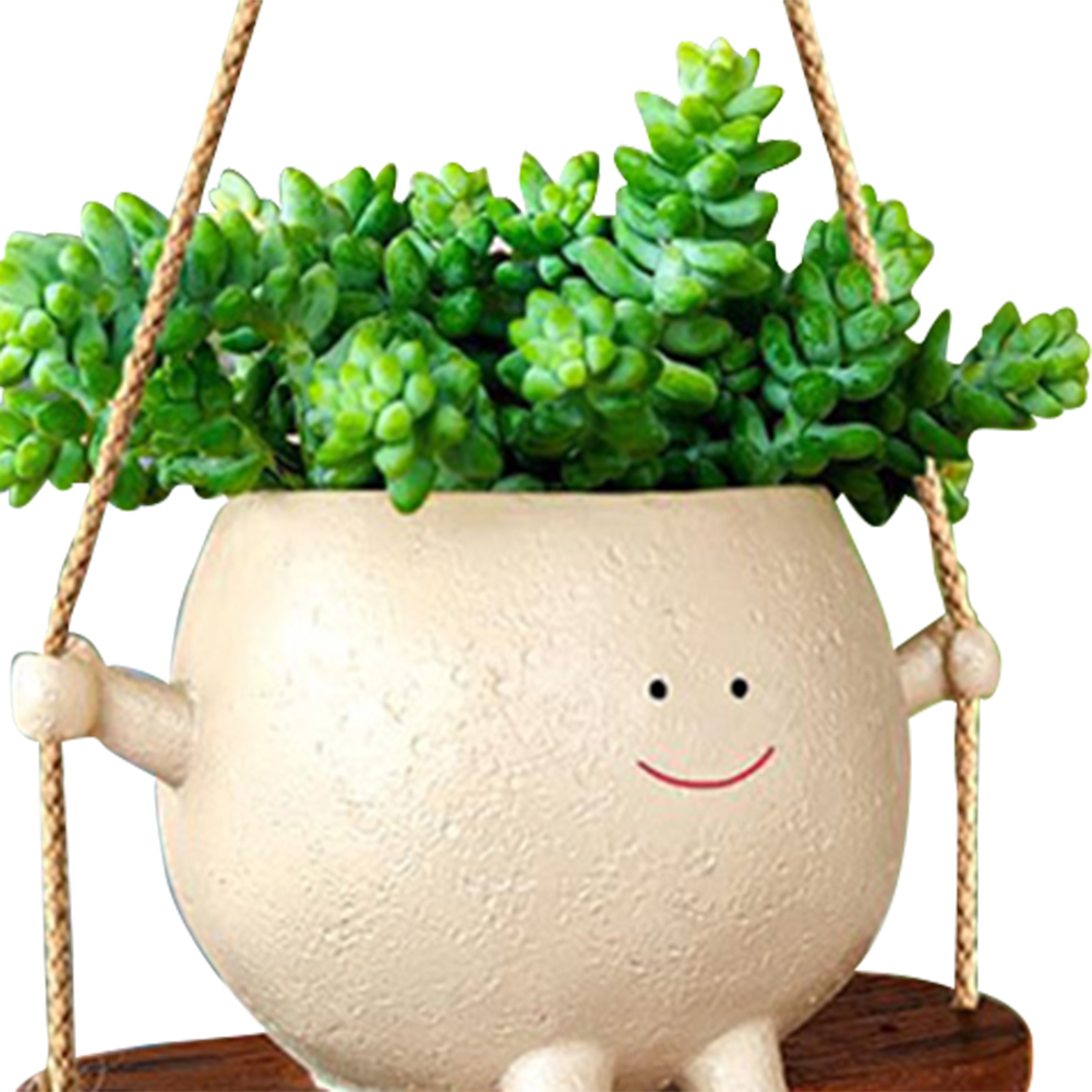 Keranjang Gantung Tanaman Pot  - Echeveria Succulent ulasan dan harga