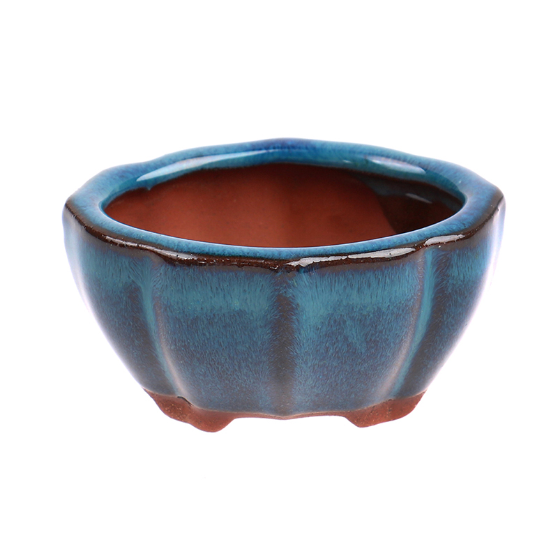 1 buah Pot bunga keramik Mini  - Echeveria Succulent ulasan dan harga