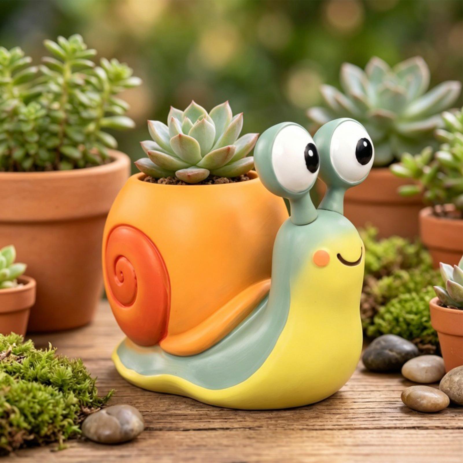 Pot Bunga Bentuk Siput, Tempat - Echeveria Succulent ulasan dan harga