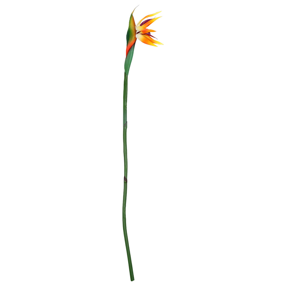 Bunga Burung Surga Buatan deng - Bird Paradise Strelitzia ulasan dan harga