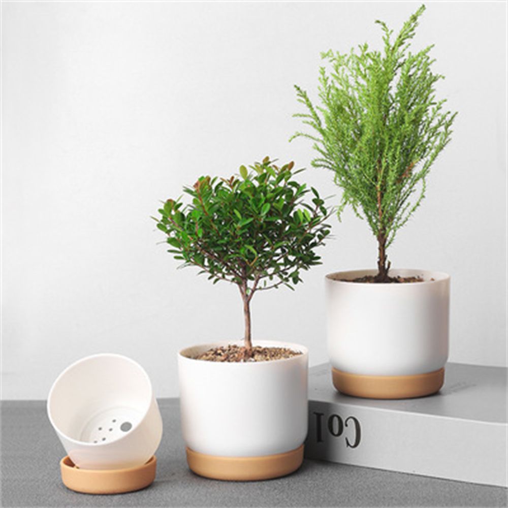 Pot Bunga Self Watering Bulat  - Aloe Vera Pot ulasan dan harga
