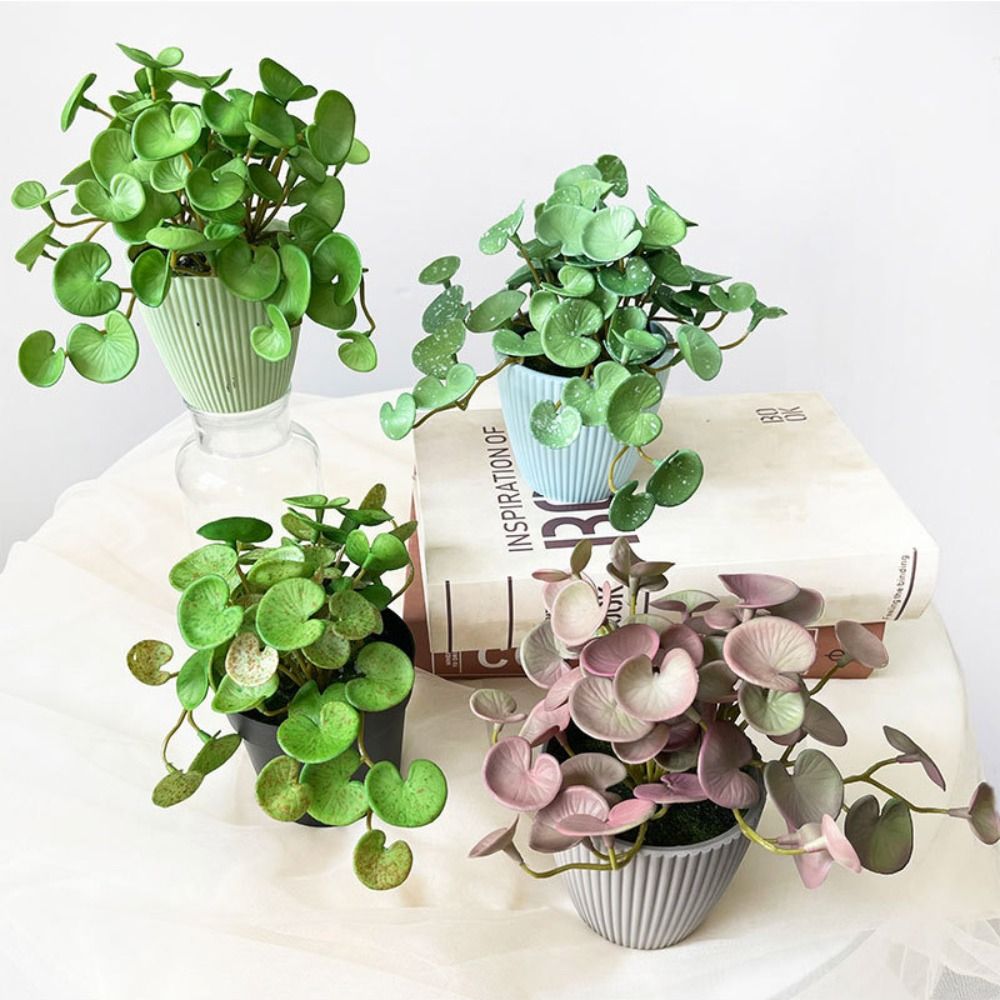 Tanaman artifisial EVA lem lem - Echeveria Succulent ulasan dan harga