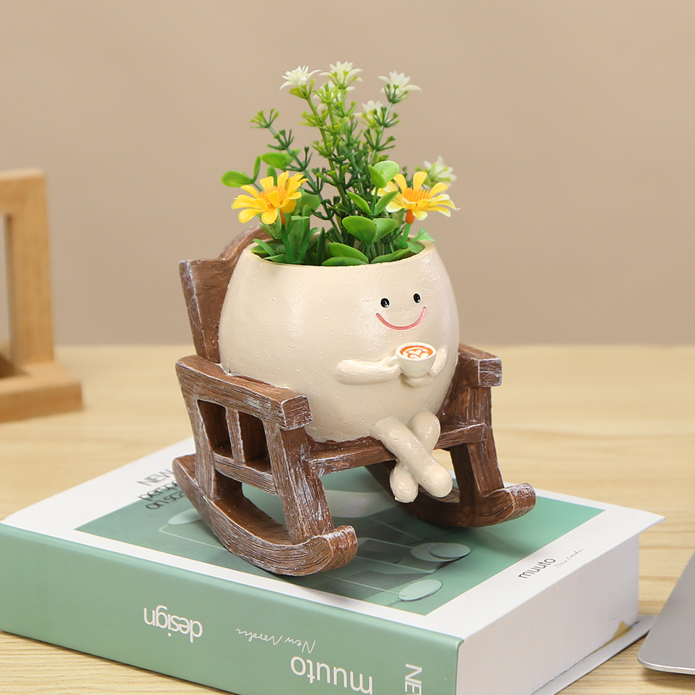 Pot Bunga Sukulen Kreatif Bent - Echeveria Succulent ulasan dan harga