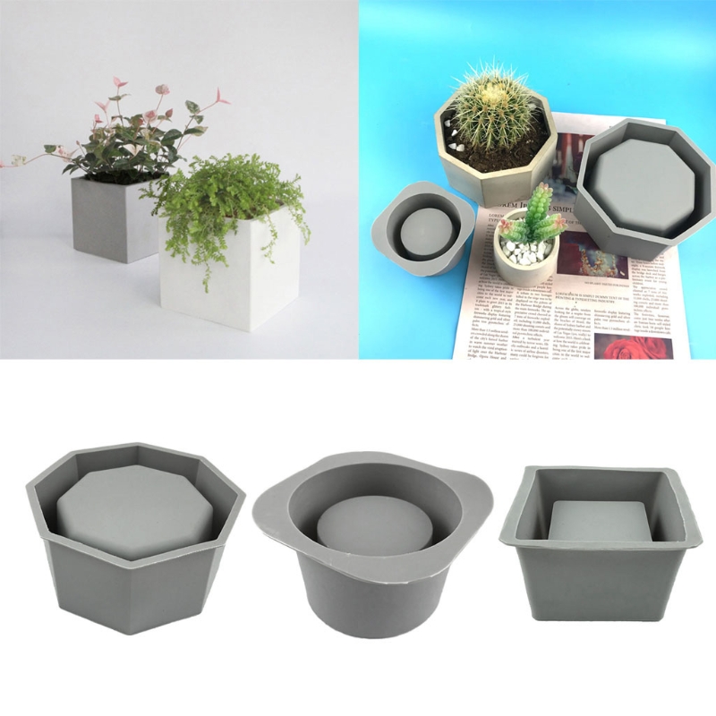 Buatan tangan sukulen Pot bung - Echeveria Succulent ulasan dan harga