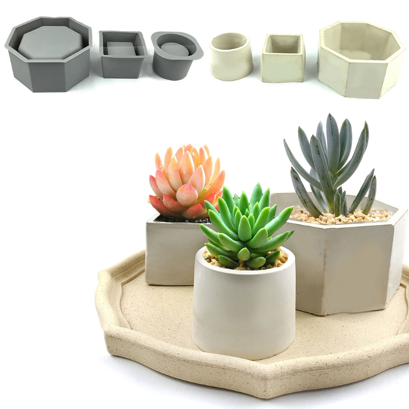 Buatan tangan sukulen Pot bung - Echeveria Succulent ulasan dan harga