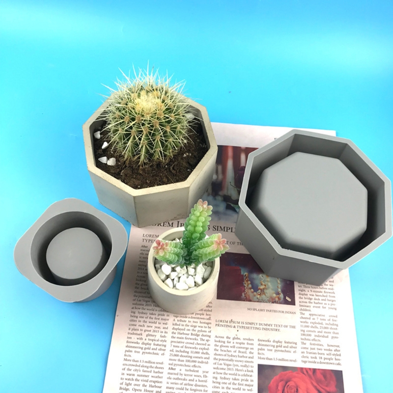 Buatan tangan sukulen Pot bung - Echeveria Succulent ulasan dan harga