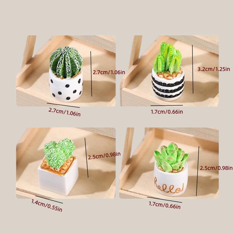 Set 4-Potong Tanaman Sukulen K - Echeveria Succulent ulasan dan harga