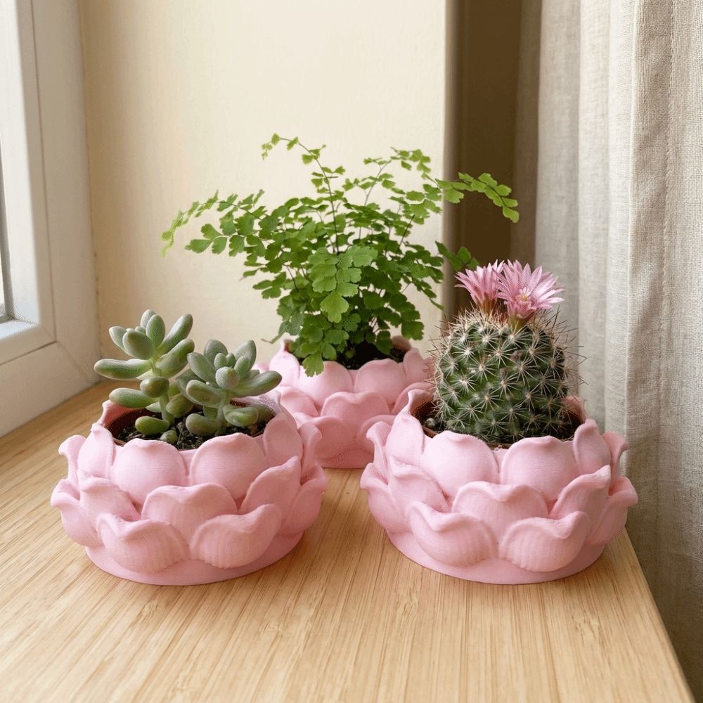Pot Tanaman Sukulen Bentuk Ter - Echeveria Succulent ulasan dan harga