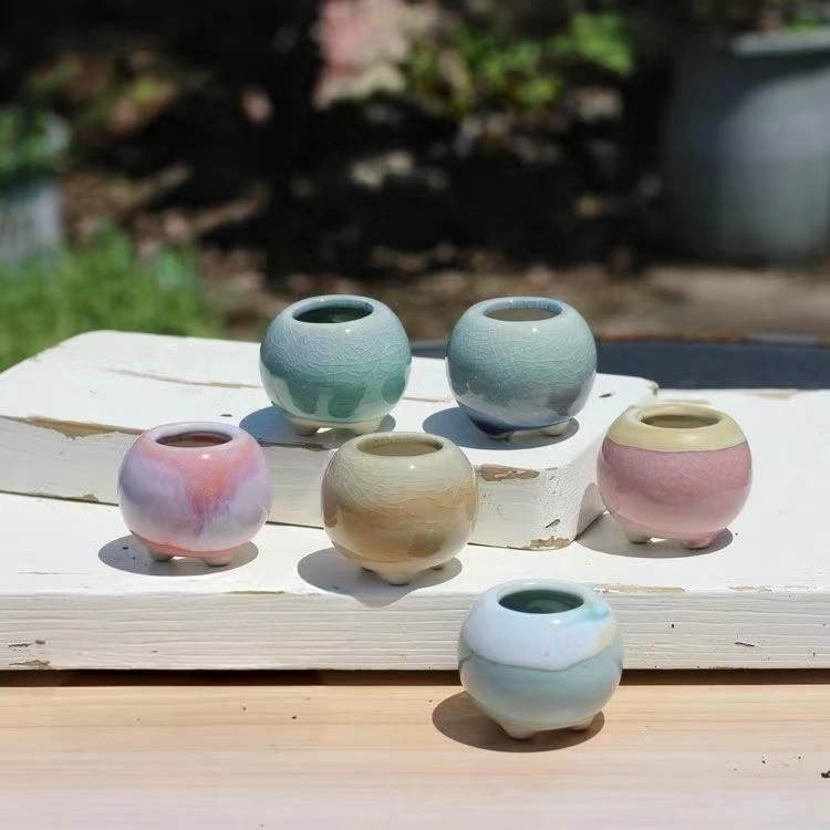 6 Buah Pot Bunga Mini Sukulen  - Echeveria Succulent ulasan dan harga