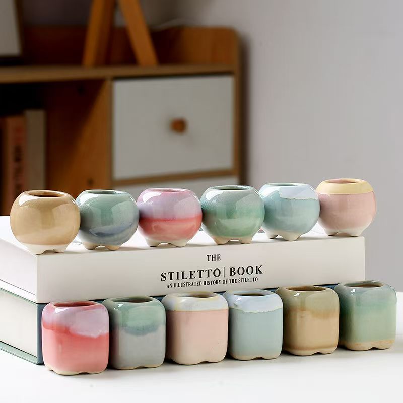 6 Buah Pot Bunga Mini Sukulen  - Echeveria Succulent ulasan dan harga