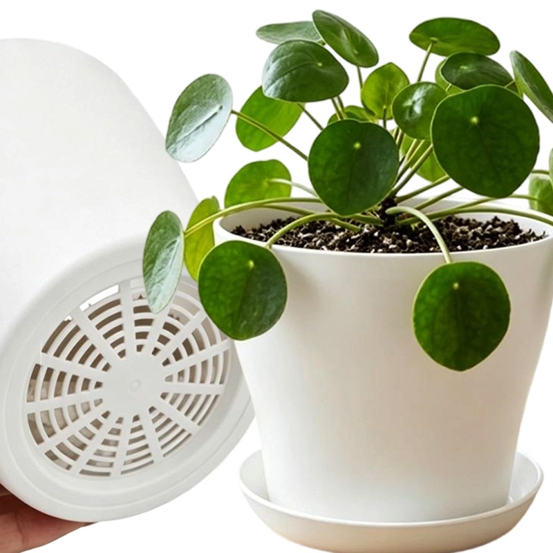 Set Pot Tanaman dengan Lubang  - Aloe Vera Pot ulasan dan harga