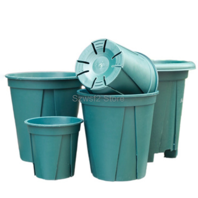 5/10 Buah Nampan Pot Bunga Tan - Aloe Vera Pot ulasan dan harga
