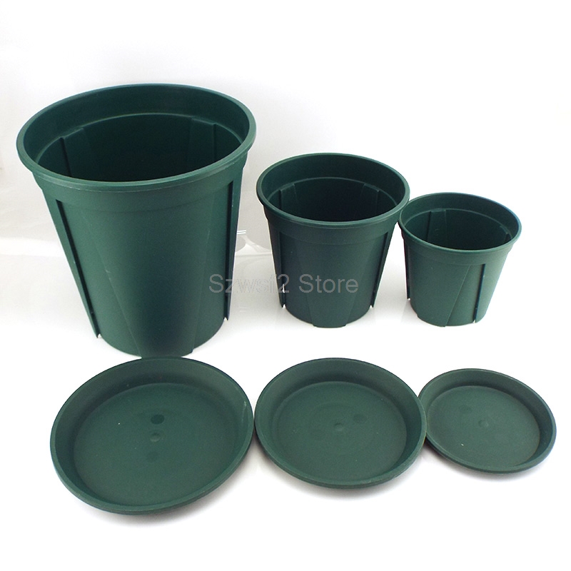 5/10 Buah Nampan Pot Bunga Tan - Aloe Vera Pot ulasan dan harga
