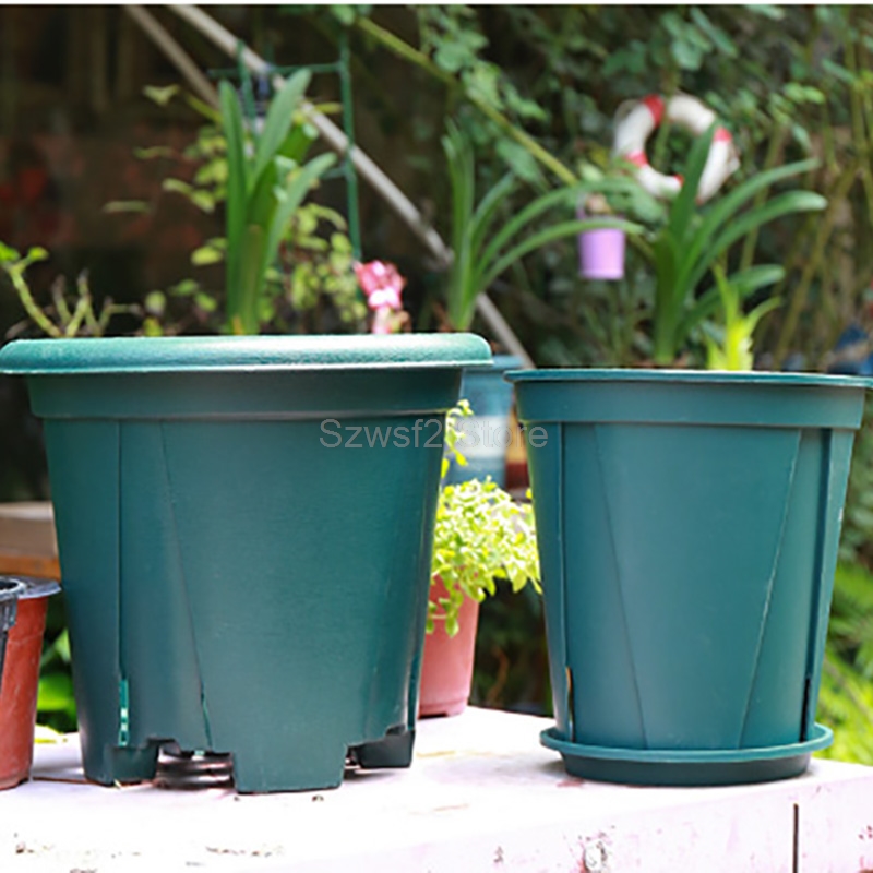 5/10 Buah Nampan Pot Bunga Tan - Aloe Vera Pot ulasan dan harga